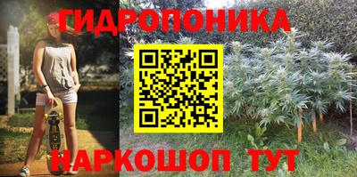 амф Ликино-Дулёво