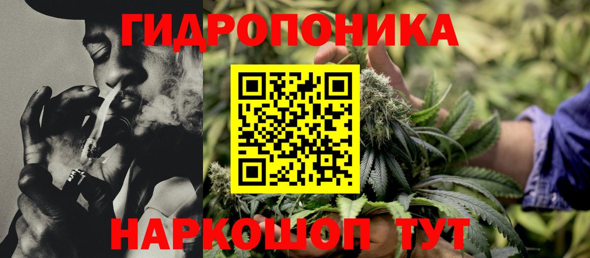 Конопля Ganja Верхний Уфалей